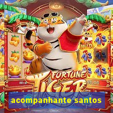 acompanhante santos